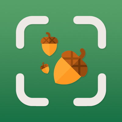 Seed Identifier - AI Scanner