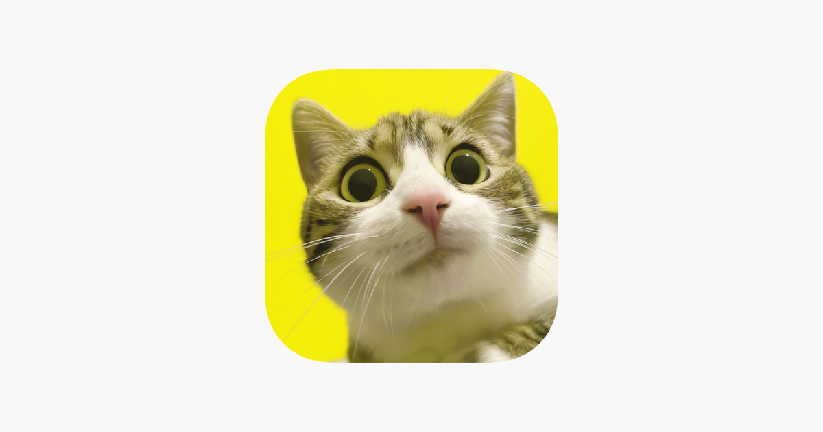 ‎NameThatCat AI Cat Names en App Store