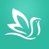 百灵健康 icon