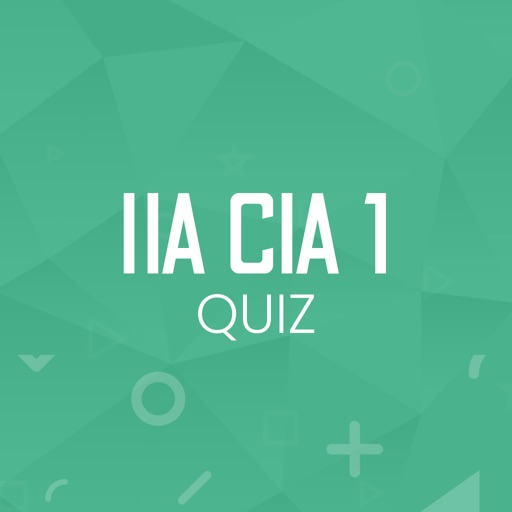 IIA CIA 1 Quiz