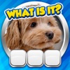 Guess it! Zoom Pic Trivia Game icon