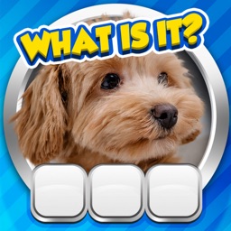 Guess it! Zoom Pic Trivia Game