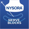 NYSORA Nerve Blocks icon