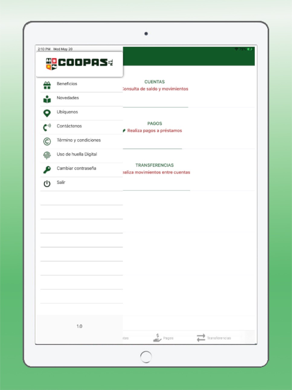 iPad screenshot