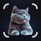 Discover everything about different cat breeds with Cat Identifier, the ultimate app for identifying cats with a single photo