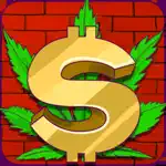 Weed Street$ App Contact