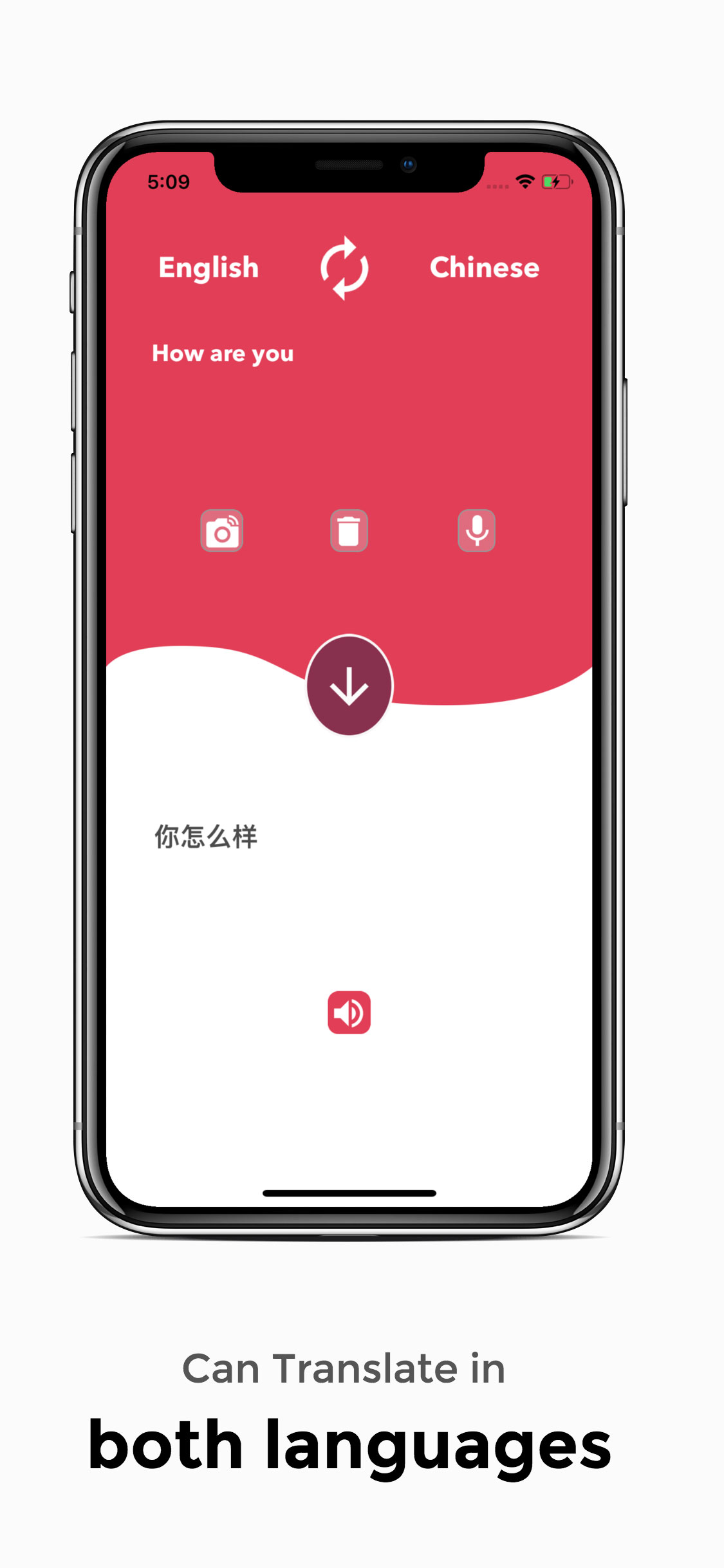 Translator English Chinese
