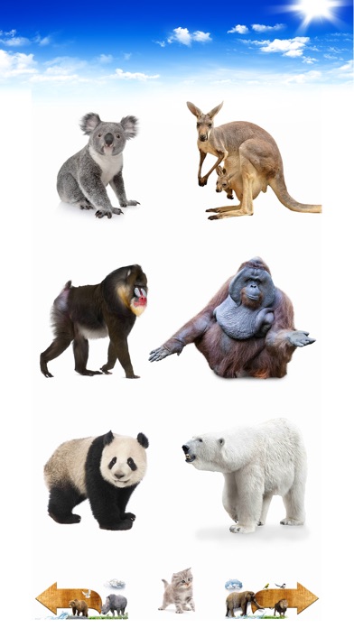 Amazing Animal Sounds Screenshot