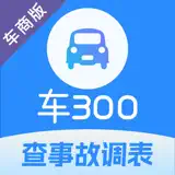 车300专业版-维保出险记录评估二手车批发求购 - 앱 아이콘