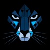 Cheetah Charge icon