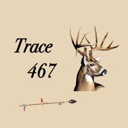 Trace 467