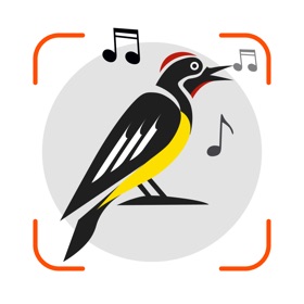 屏幕截图 (5) Bird Sounds Identifier Call ID