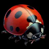 Picture Insect Bug Identifier - App-Symbol