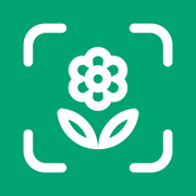 Planto: Plant Identifier