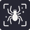 Spider Identifier: AI Scan icon