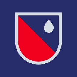 Bayard
