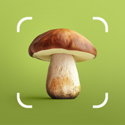 Mushroom ID: Fungus Identifier