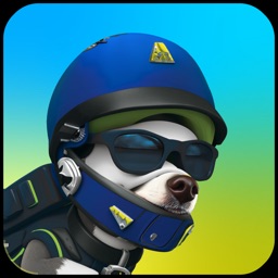 Jungle Ninja Adventure