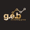 Geb networking icon