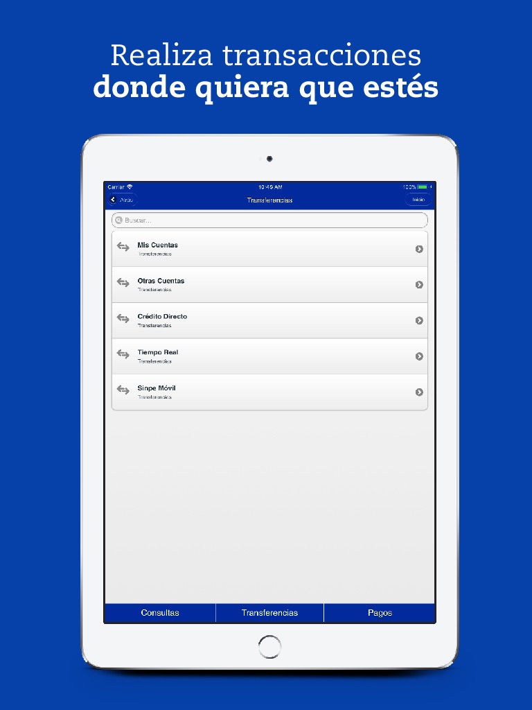 iPad screenshot