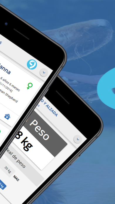 Dogotea: cuidados de tu perro Screenshot