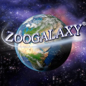 Zoogalaxy Social Network