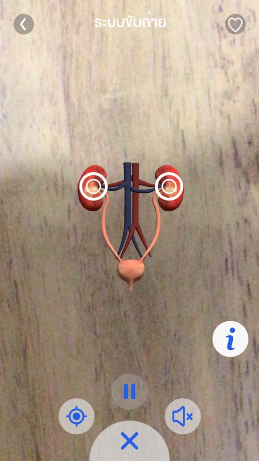#3. AR สสวท. วิทย์มัธยมต้น (iOS) 由: The Institute for the Promotion of Teaching Science and Technology (IPST)