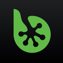 bestjobs - let b upgrade u