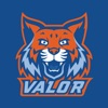 Valor Collegiate Academies
