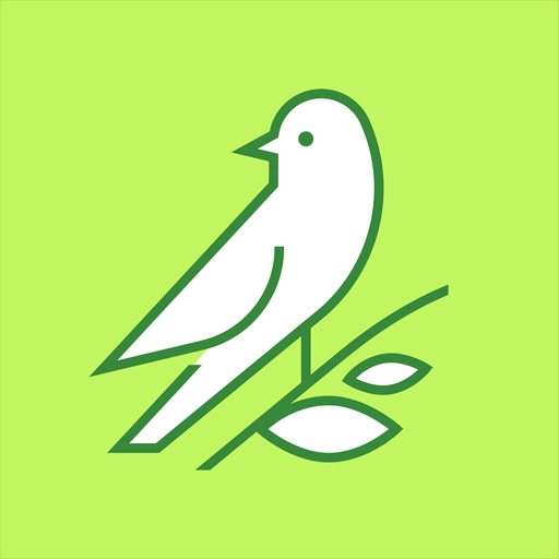 Transcribe Live: Voice to Text