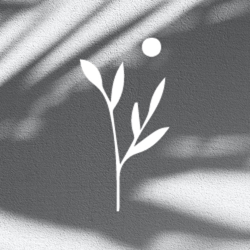 Christ Culture Church CLE