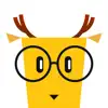 LingoDeer - Learn Languages contact information