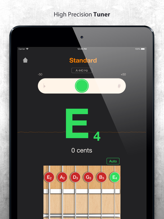 Guitar Gravitas: Chords Scales iPad screenshot 7 - Music app