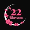 22 Blossom icon