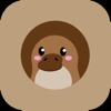 Platipus icon