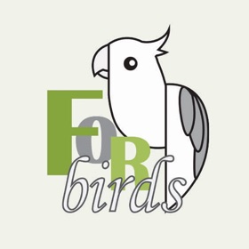 螢幕擷取畫面 (5) 致鸟forbirds