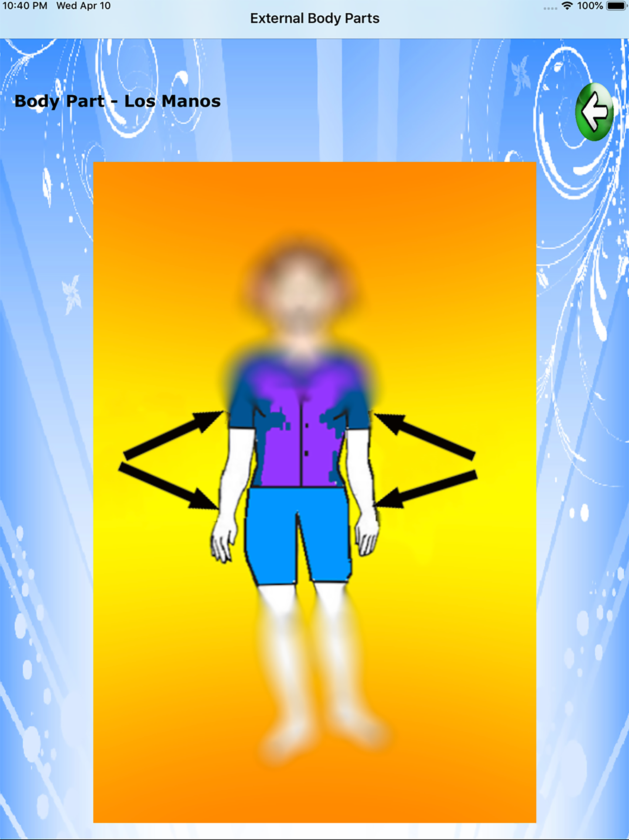 Body Parts - Basic screenshot 8