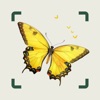 AI Insect Identifier: BugBug icon