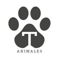 TOTEM ANIMALES logo