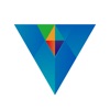 Vision Money:Net Worth Tracker icon