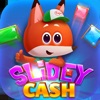 Slidey Cash icon