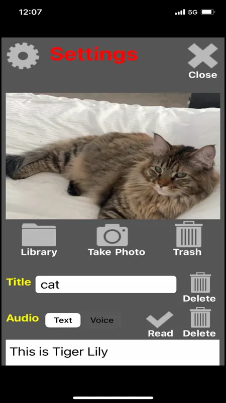 APP2Speak® screenshot 3 of 10