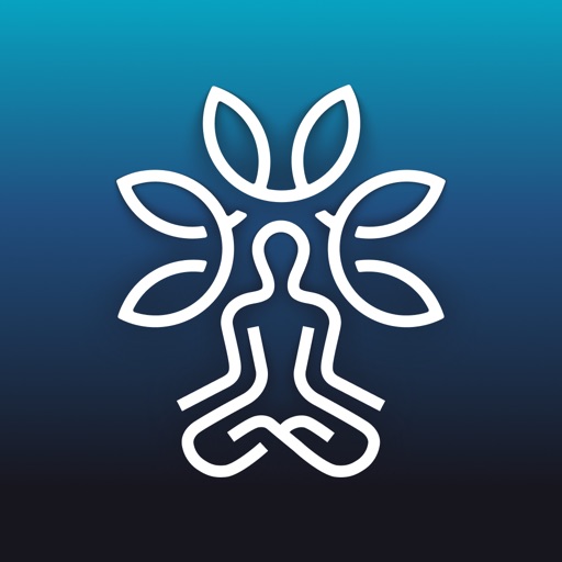 Chakragram: Human Design App