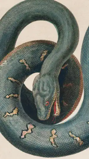 SC Museo Ciencias Naturales screenshot 2