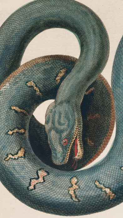 Screenshot #2 pour SC Museo Ciencias Naturales