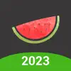 Melon VPN - Easy Fast VPN App Feedback