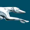 Similar Greyhound: Buy Bus Tickets Apps