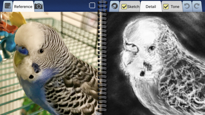 Interactive Sketchbook Screenshot