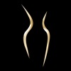 SylwetkaPro icon