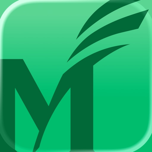 Mason Past and Present